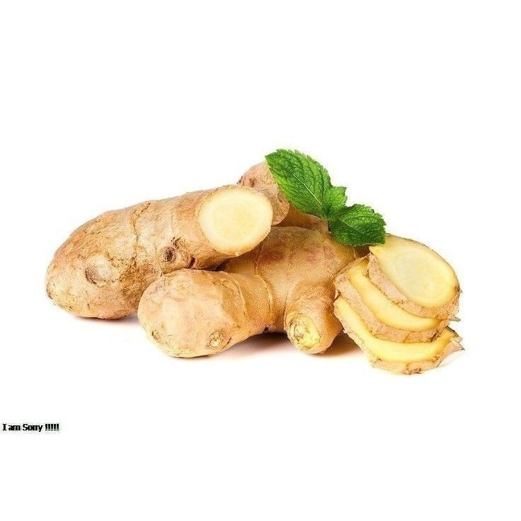 Java ginger jahe emprit from East Java Indonesia