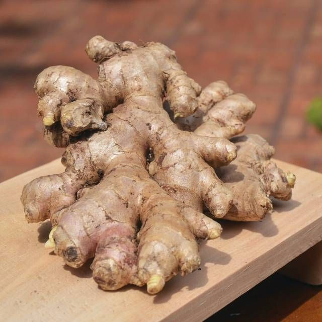 Indonesian white ginger for wholesale export
