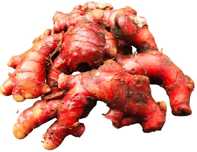 Red ginger jahe merah wholesale export Indonesia
